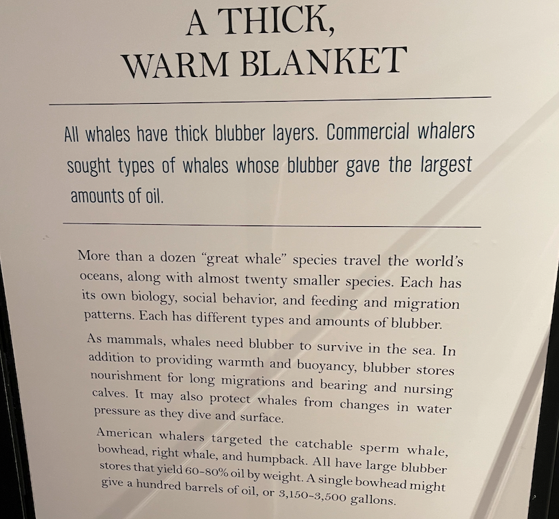 Before seed oils entered the market as food, the world used whale